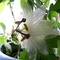 Square_100_1577_1276232712