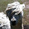 Square_avatar