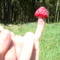 FantabulousMe