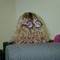 Square_avatar