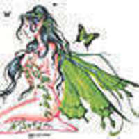 Large_square_ivy_fairy_1207625484