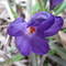 Square_avatar