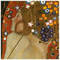 Square_avatar
