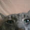 Square_avatar