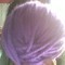 Square_avatar