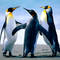 Square_avatar
