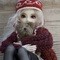 Square_avatar