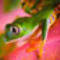 Square_avatar