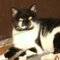 Square_273211_100002419877347_213052_n