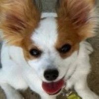 Large_square_avatar
