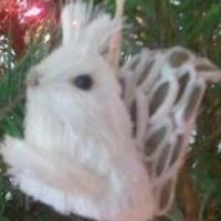 Large_square_avatar