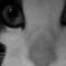 Square_avatar