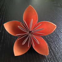 Large_square_avatar