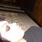 Square_avatar