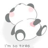 Large_square_sleepy_panda