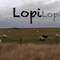 Square_12112011151-lopilopilopi
