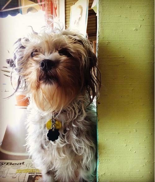 Shelf Life Art & Supply Co. · Shop Showcase · Cut Out + Keep Craft Blog