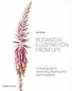 Botanical Illustration from Life