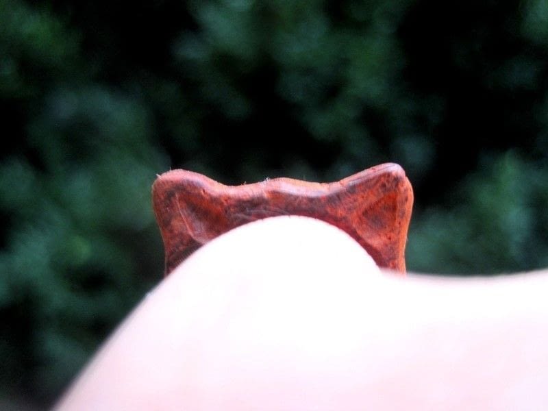 Cat Ears Ring · An Animal Ring · Jewelry Making and Woodwork on Cut Out