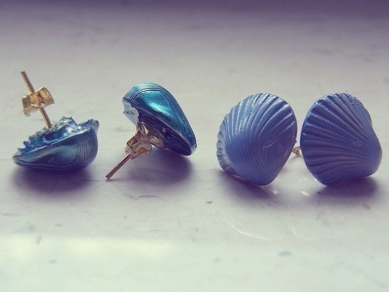 Seashell Earrings · A Pair Of Shell Earrings · Jewelry Making and