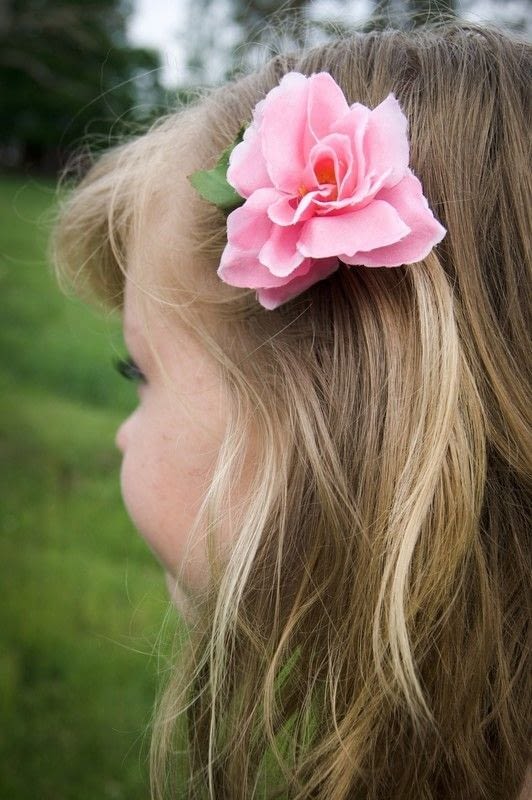 Plastic Flower Hairclips A Flower Hair Clip Needlework on Cut Out Rapunzel clipart tangled clip disney pascal tangle clipground cliparts presentations websites reports powerpoint projects library throne insertion codes