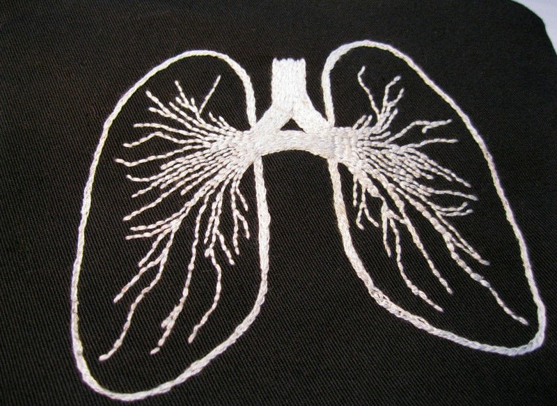 Embroidered Lung Bag · A Stitched Pouch · Sewing on Cut Out + Keep