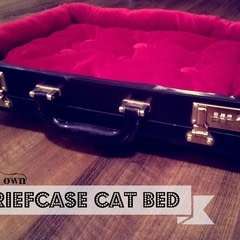 Briefcase Cat Bed