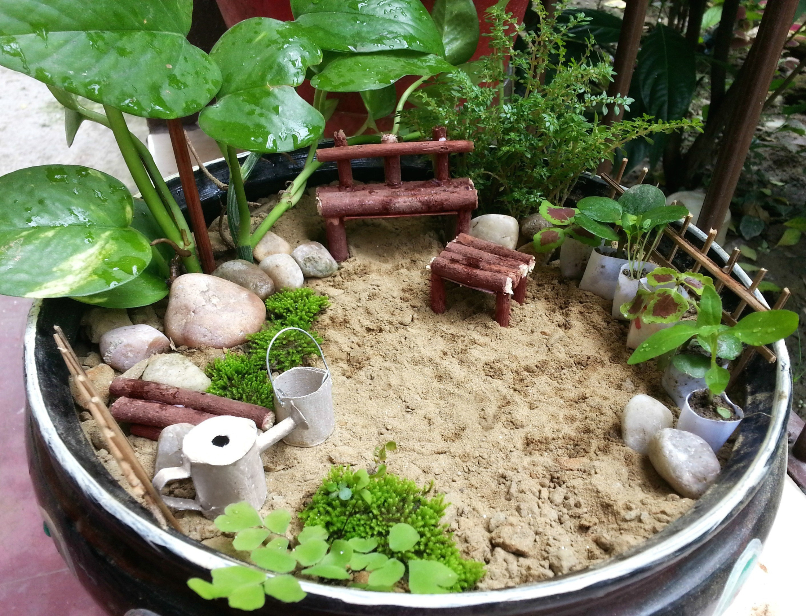 Diy Miniature Garden · How To Make A Garden / Terrarium · Home + DIY on ...