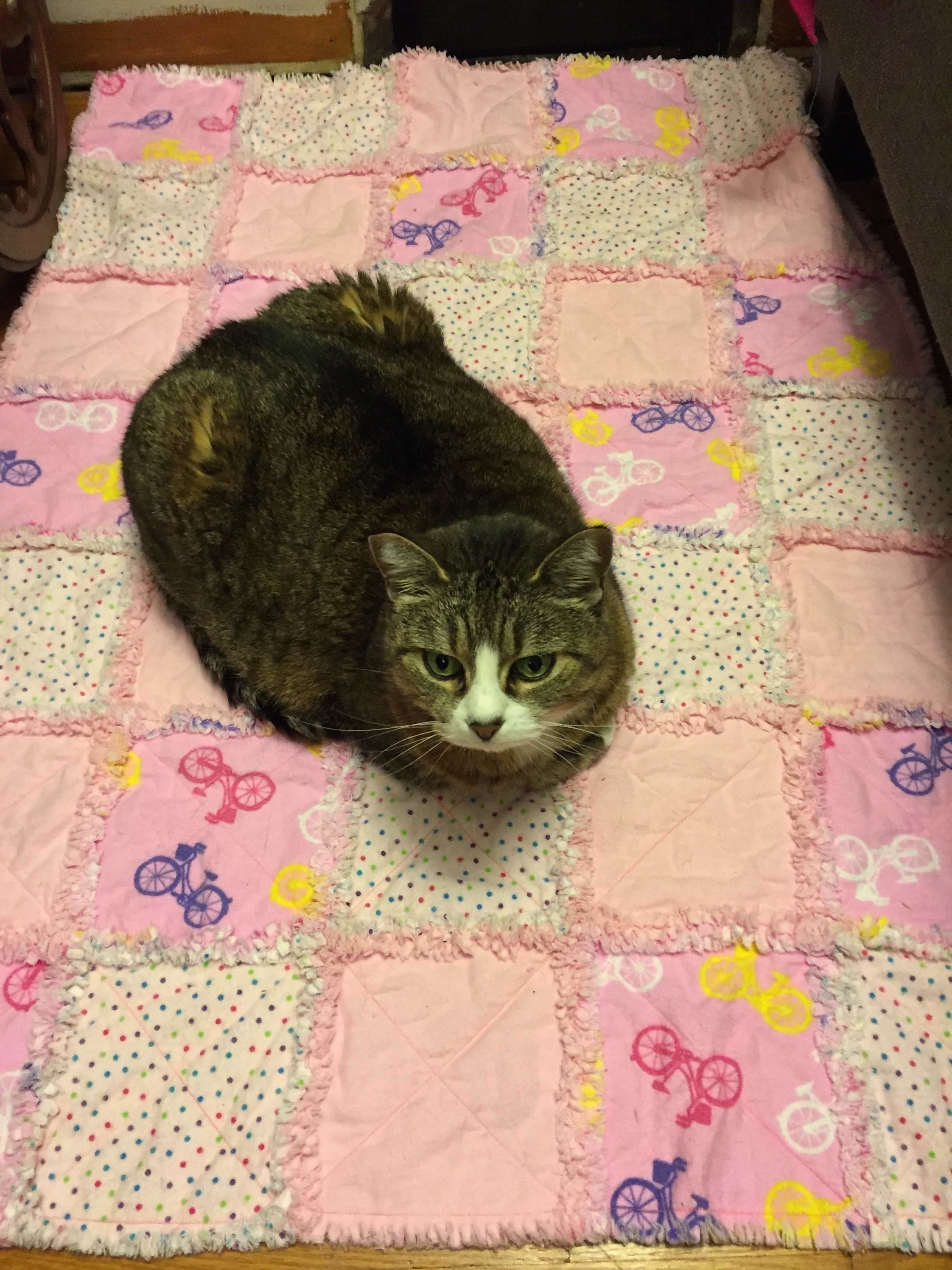 Pet Sized Rag Quilt · How To Make A Patchwork Quilt · Sewing on Cut Out