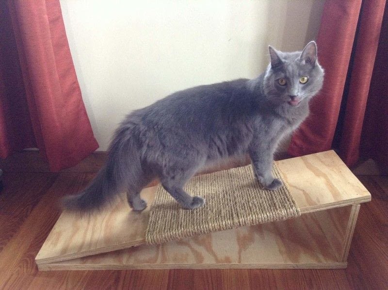 Diy Cat Scratching Board · How To Make A Scratching Post · Home + DIY on Cut Out + Keep