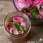 Basil & Rose Kombucha Toner