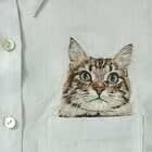 Tabby Pocket Cat
