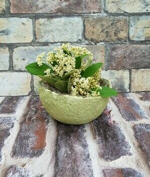 Here is a tutorial for small pots made from recycled egg cartons. .  Free tutorial with pictures on how to make a bouquet in under 15 minutes by papercrafting, Papier-mâchéing, and  with box, water, and bowl. How To posted by campaspe.  in the Papercraft section Difficulty: Easy. Cost: Absolutley free. Steps: 2