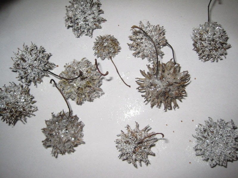 sparkley organic holiday ornaments 183 how to make a sparkley organic holiday ornaments 183 how to make a