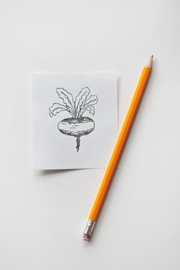 Radish Notes Simple Radish Drawing Easy With Pencil