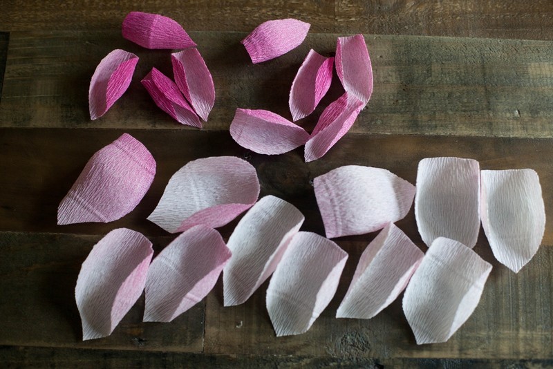 Diy Crepe Paper Roses · How To Make A Paper Flower · Papercraft on Cut