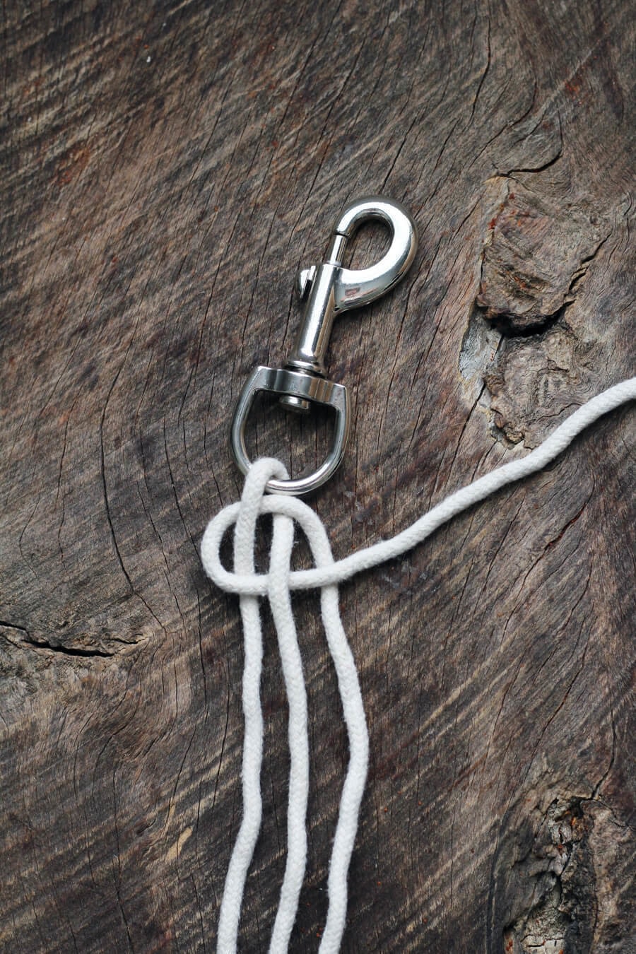 braided dog leash diy