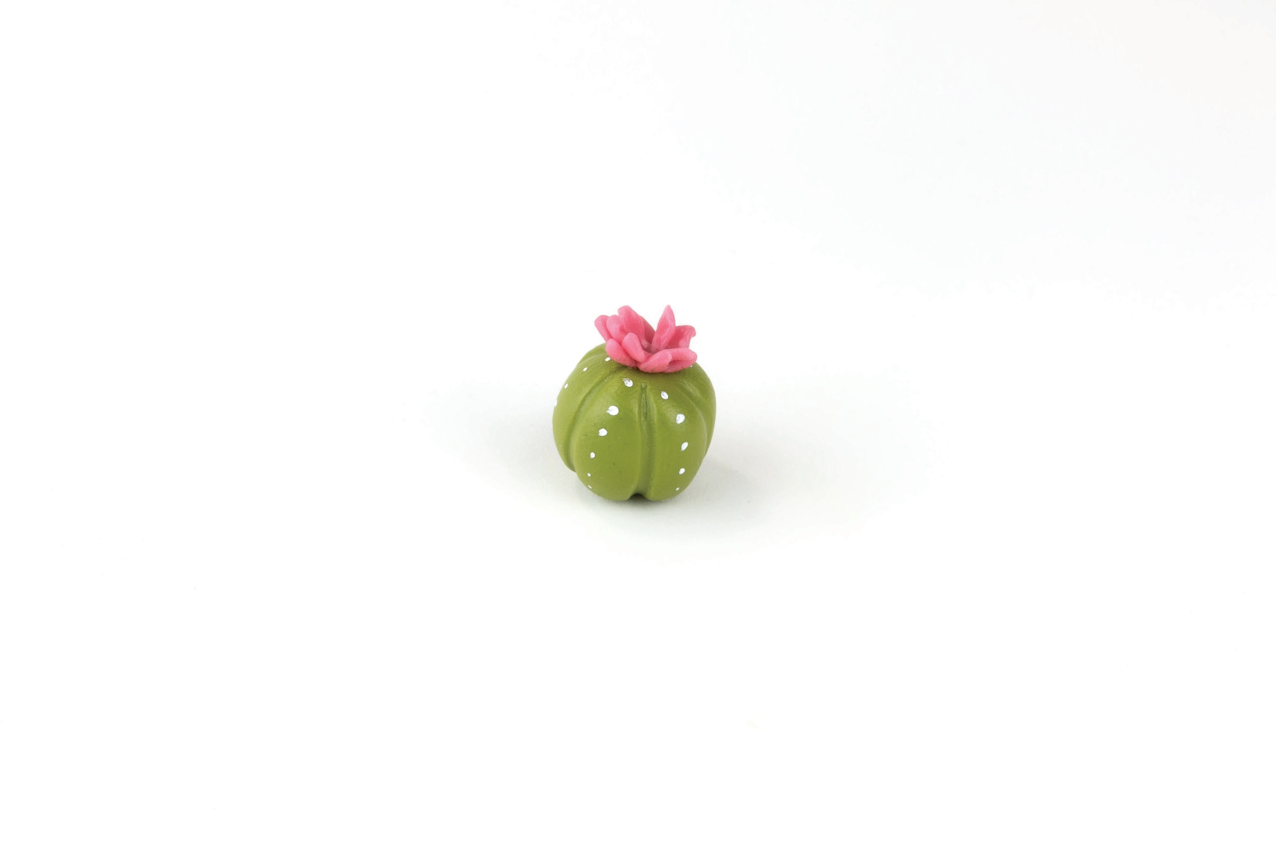 Clay Cactus  Extract from Polymer Clay For Beginners by Emily Chen  How  To Mold A Clay Flower