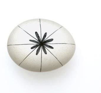 How to make a decorative egg. Black And White Snowflake Egg - Step 1