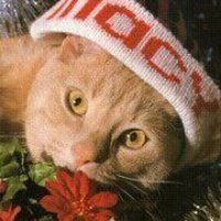 helen.kimball2