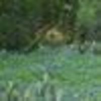 kathy.w.wright.7