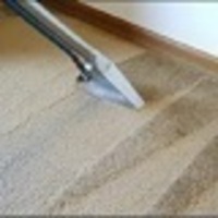 Carpet C.