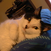 QuSusan