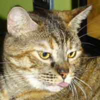 Blanca C.